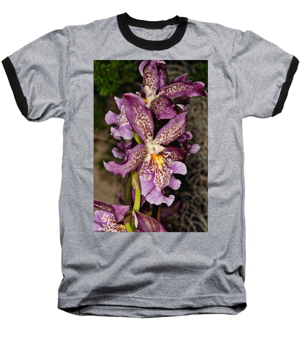 Orchid Baseball T-Shirt featuring the photograph Orchid 347 by Wesley Elsberry