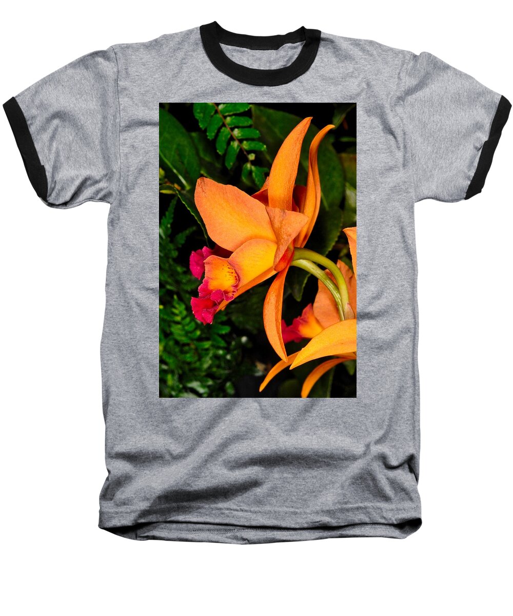 Orchid Baseball T-Shirt featuring the photograph Orchid 355 by Wesley Elsberry
