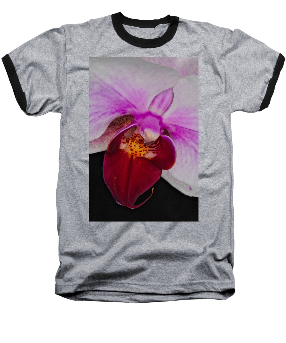 Orchid Baseball T-Shirt featuring the photograph Orchid 376 by Wesley Elsberry