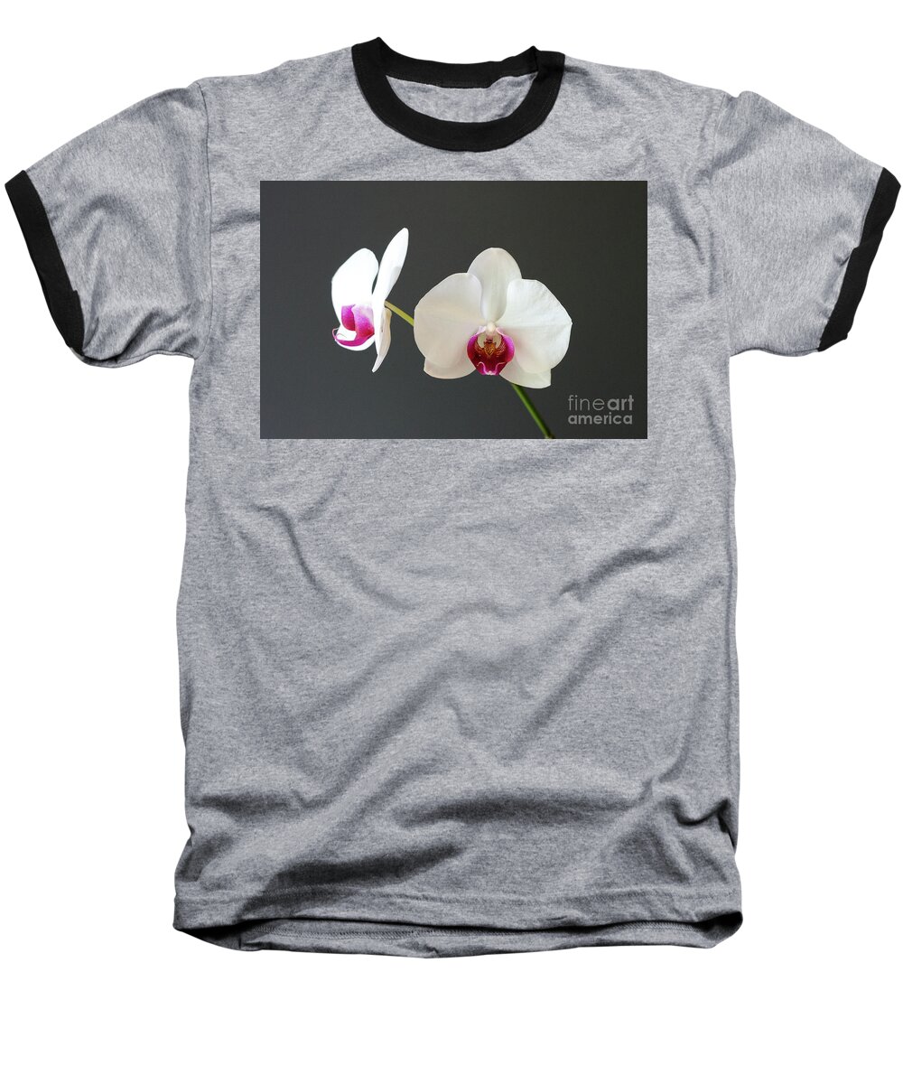 Orchid Baseball T-Shirt featuring the photograph Orchid Blooms by Laurel Best