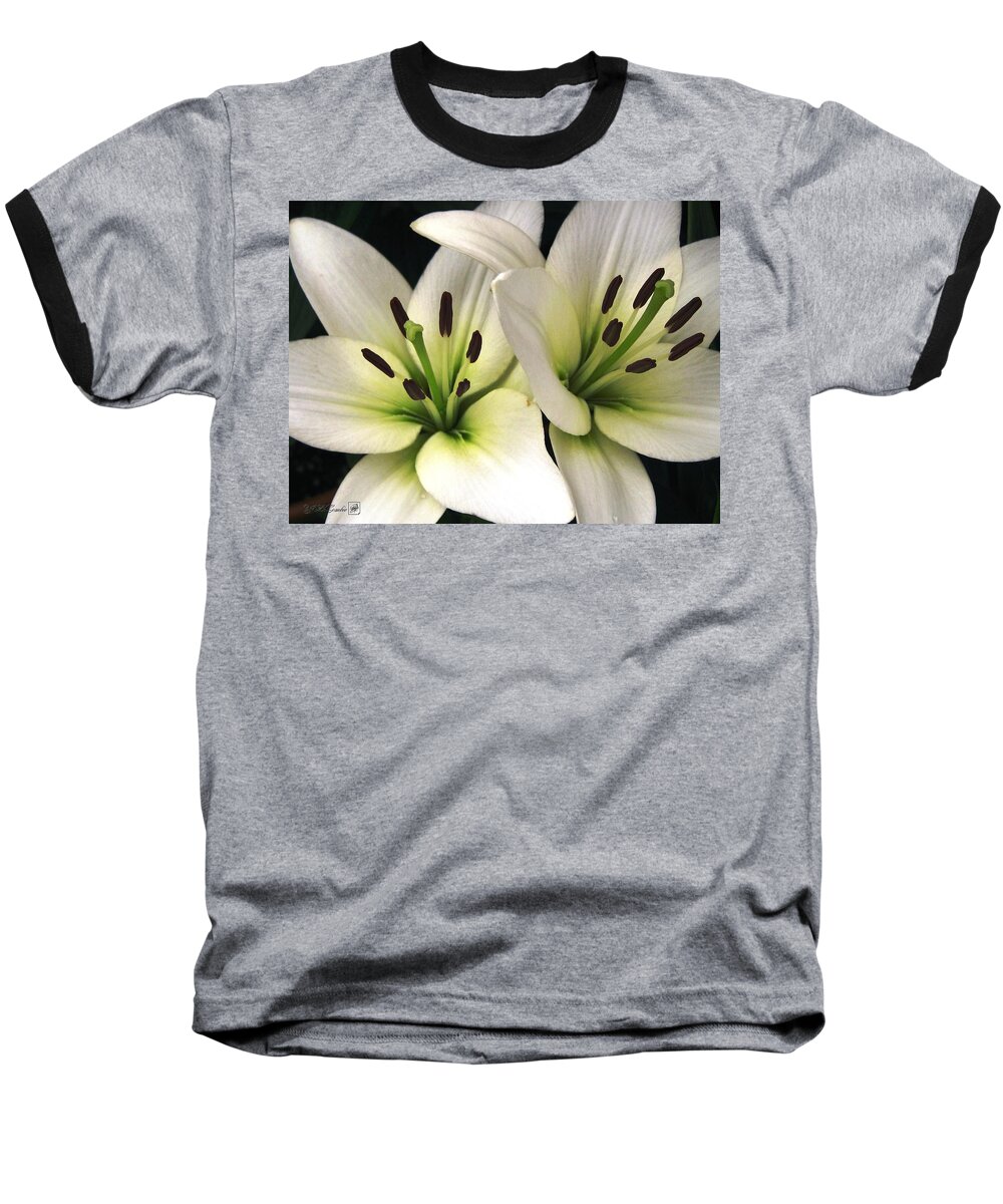 Oriental Lily Baseball T-Shirt featuring the photograph Oriental Lily named Endless Love by J McCombie