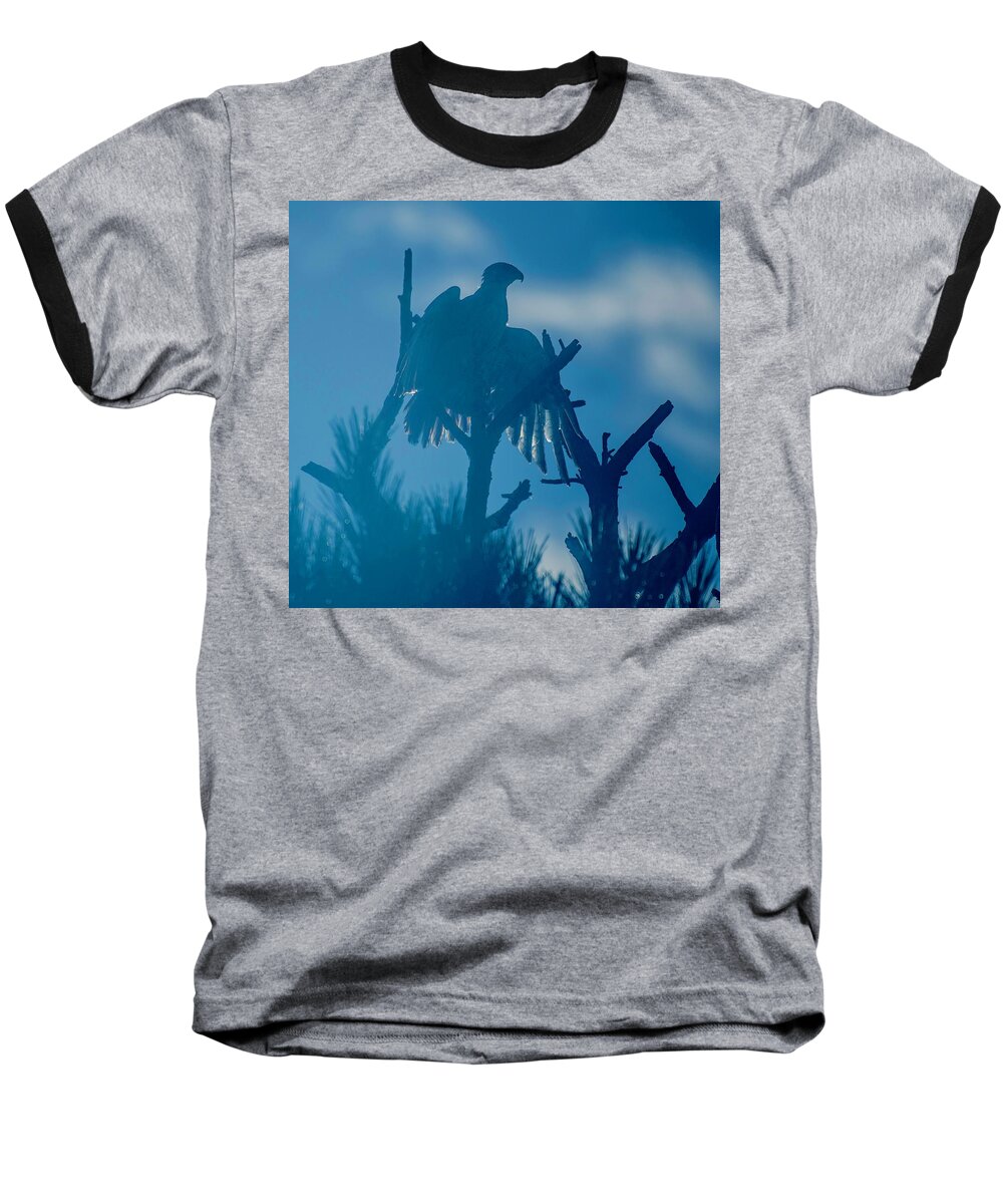 Osprey Baseball T-Shirt featuring the photograph Osprey in Blue by Mary Hahn Ward