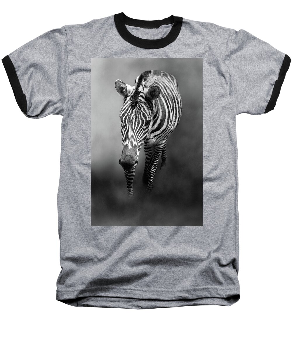 Zebra Baseball T-Shirt featuring the photograph Out of the Mist by Theresa Campbell