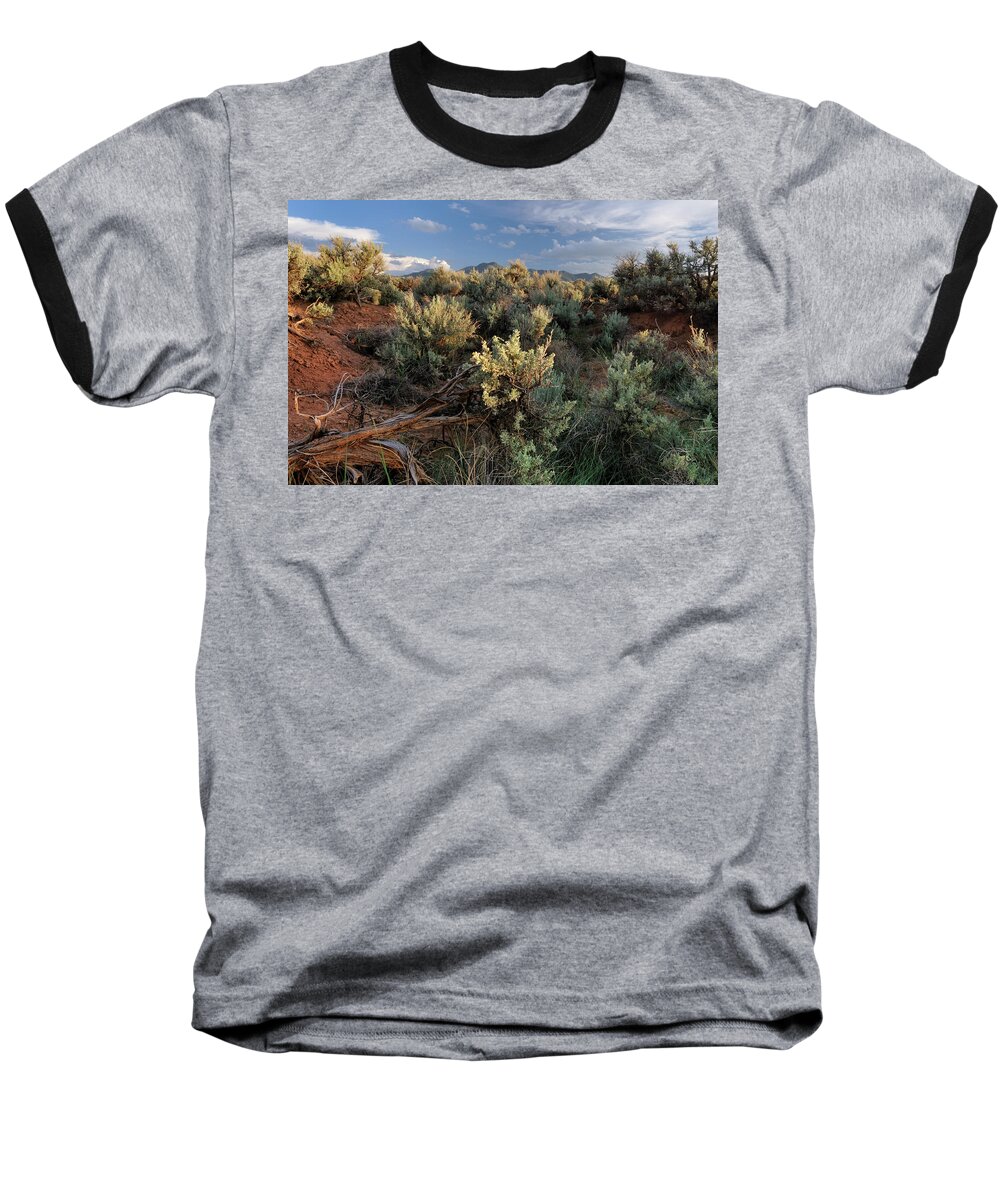 Landscape Baseball T-Shirt featuring the photograph Out On The Mesa 7 by Ron Cline