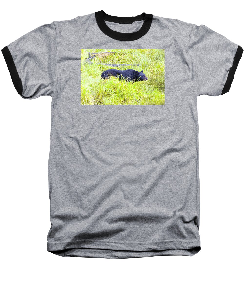 Wildlife. Black Bear Baseball T-Shirt featuring the photograph Out Standing in his Field by Harold Piskiel