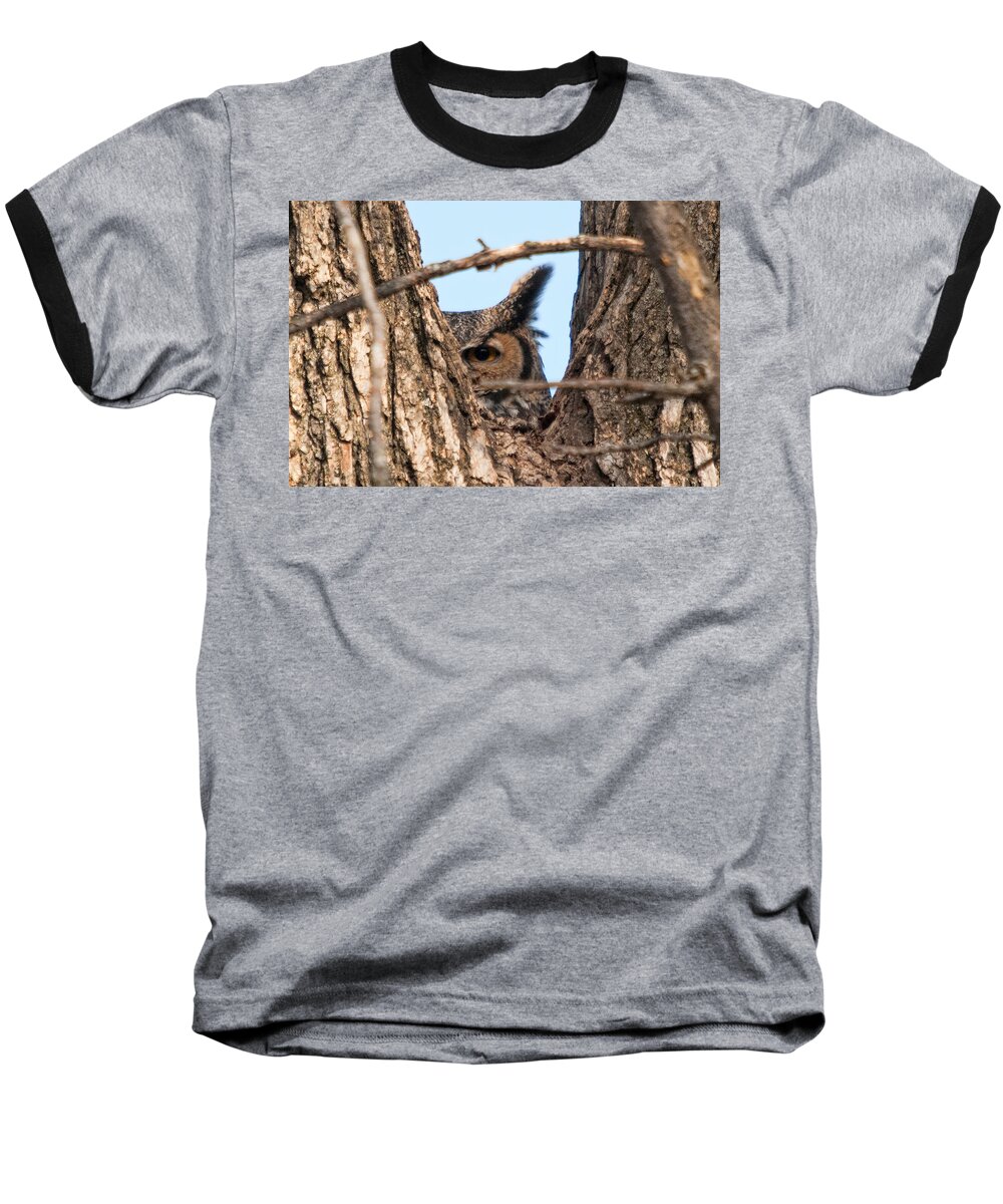 Owl Baseball T-Shirt featuring the photograph Owl Peek by Steve Stuller