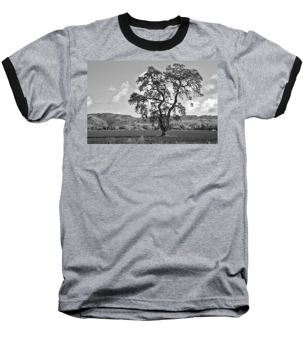 California Baseball T-Shirt featuring the photograph Pacheco Pass by Sonny Marcyan
