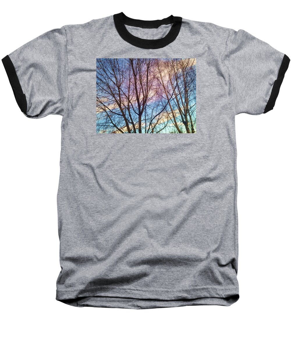 Trees Baseball T-Shirt featuring the photograph Paintbrush by Chris Dunn