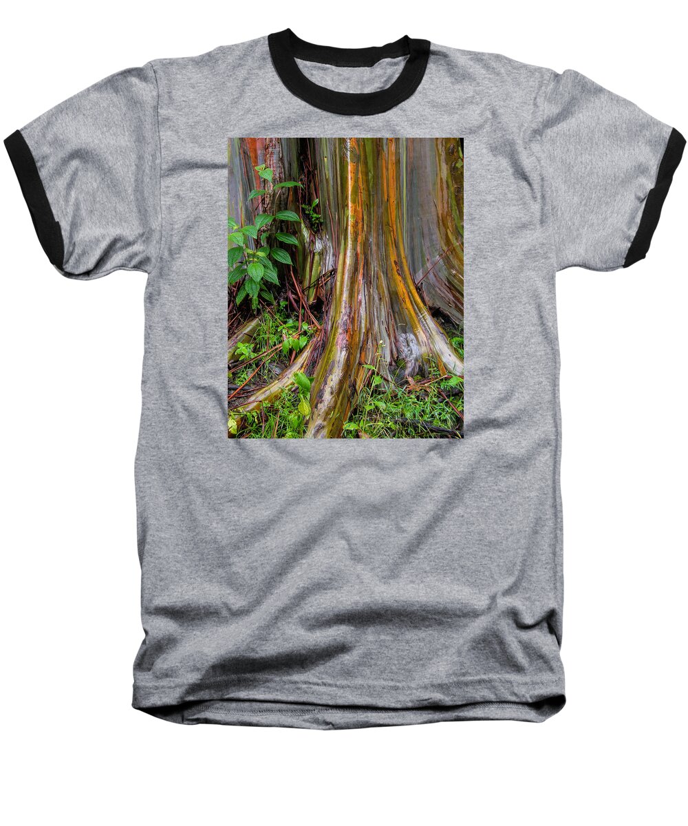  Botanical Baseball T-Shirt featuring the photograph Painted Eucalyptus by Alana Thrower