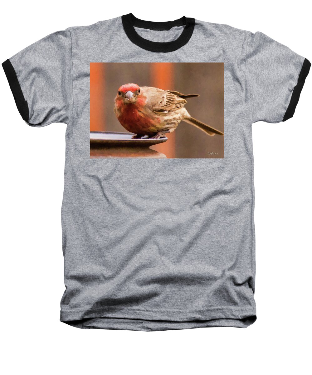 Male House Finch Baseball T-Shirt featuring the photograph Painted Male Finch by Tim Kathka