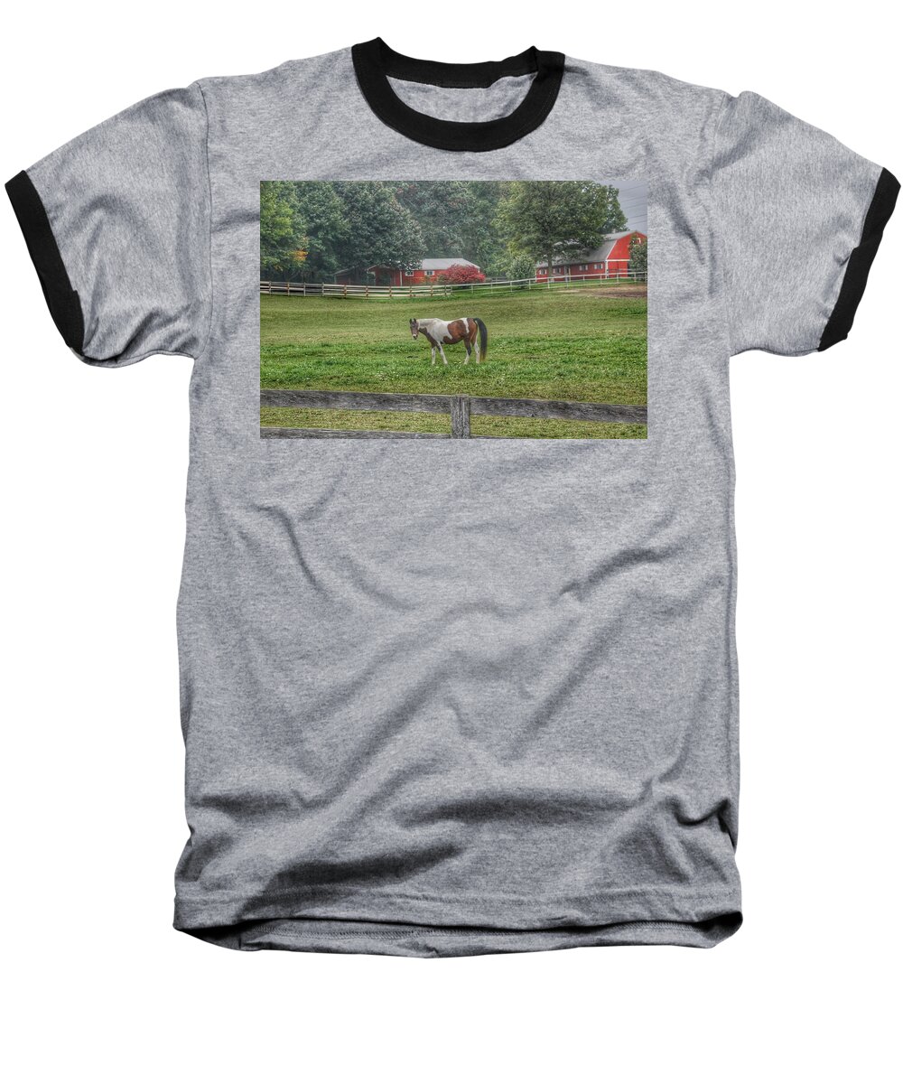 Horses Baseball T-Shirt featuring the photograph 1005 - Painted Pony in Pasture by Sheryl L Sutter