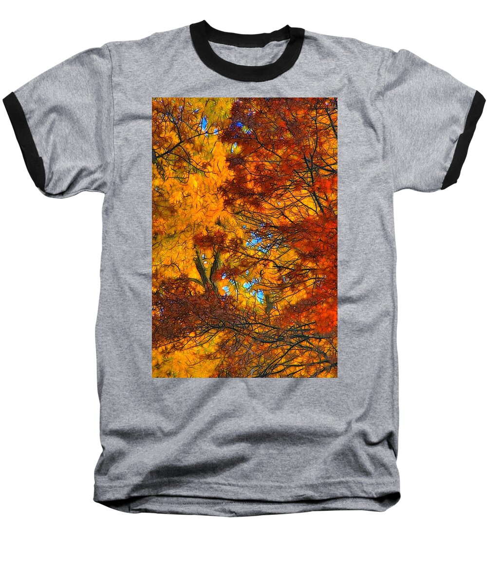 Leaves Baseball T-Shirt featuring the photograph Painterly by Lyle Hatch
