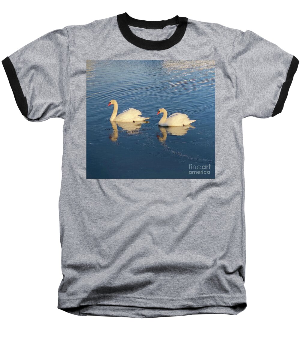 Swans Baseball T-Shirt featuring the photograph Pair of Swans by CAC Graphics