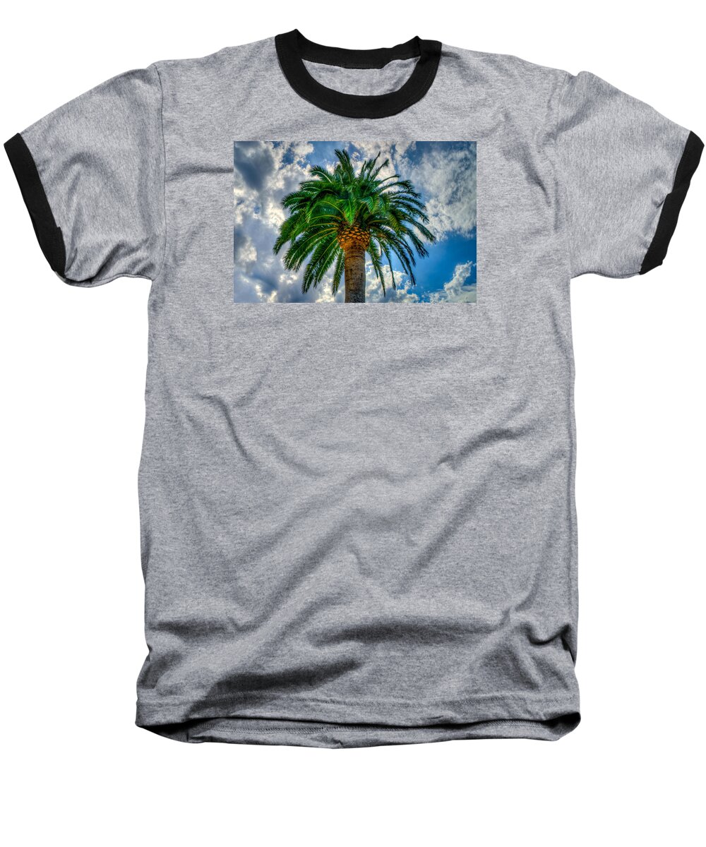 Palm Tree Baseball T-Shirt featuring the photograph Palm by Derek Dean