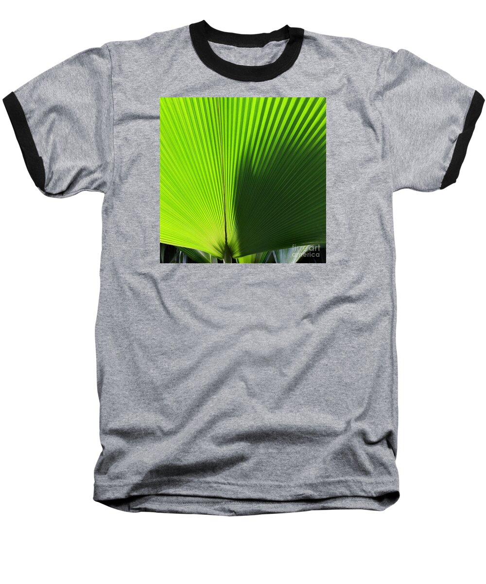 Palm Baseball T-Shirt featuring the photograph Palm Fronds Square by Karen Adams