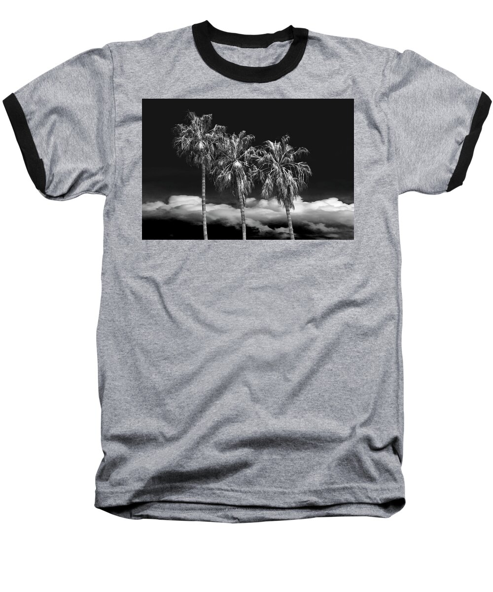 Tree Baseball T-Shirt featuring the photograph Palm Trees in Black and White on Cabrillo Beach by Randall Nyhof