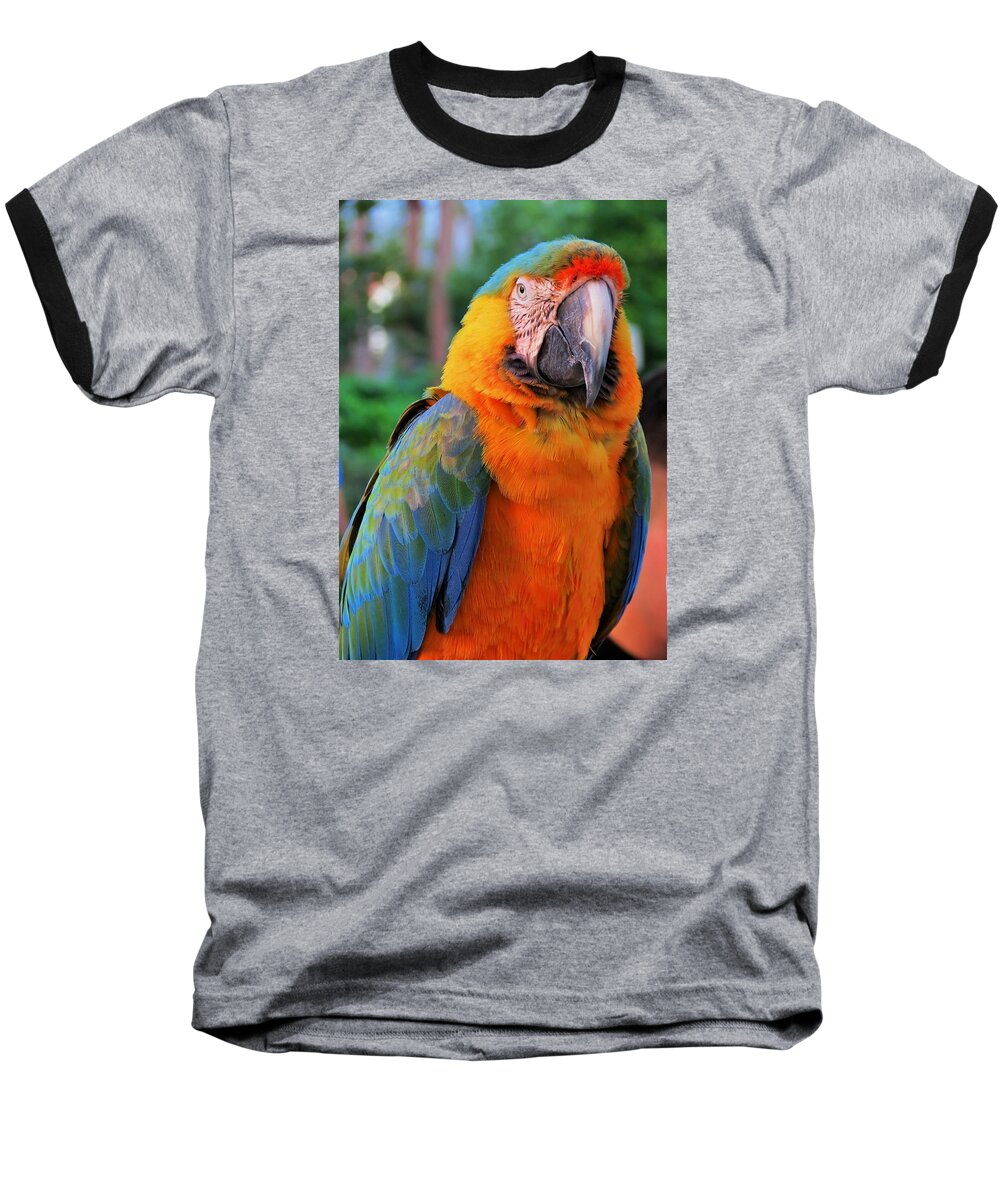Parrot Baseball T-Shirt featuring the photograph Parrot 3 by Vijay Sharon Govender