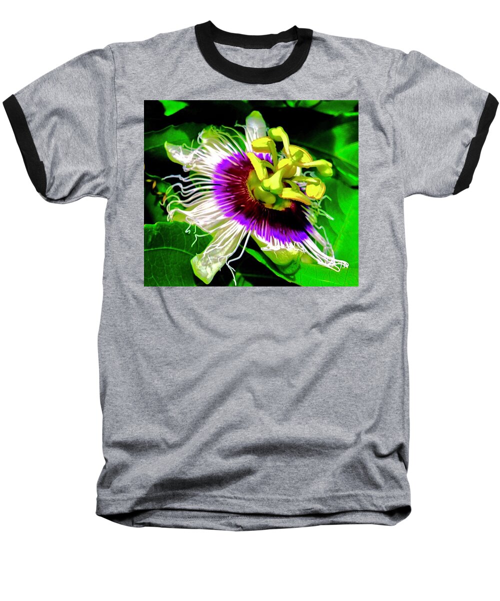 Passion Flower 3 Uplift Purple Radiating Baseball T-Shirt featuring the photograph Passion Flower 3 Uplift by Joalene Young