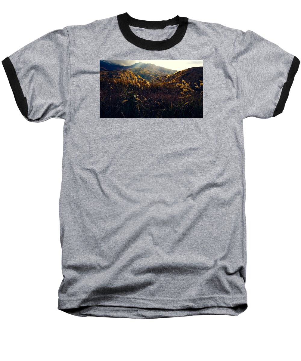 Tall Grass Baseball T-Shirt featuring the photograph Path to the Top by Britten Adams