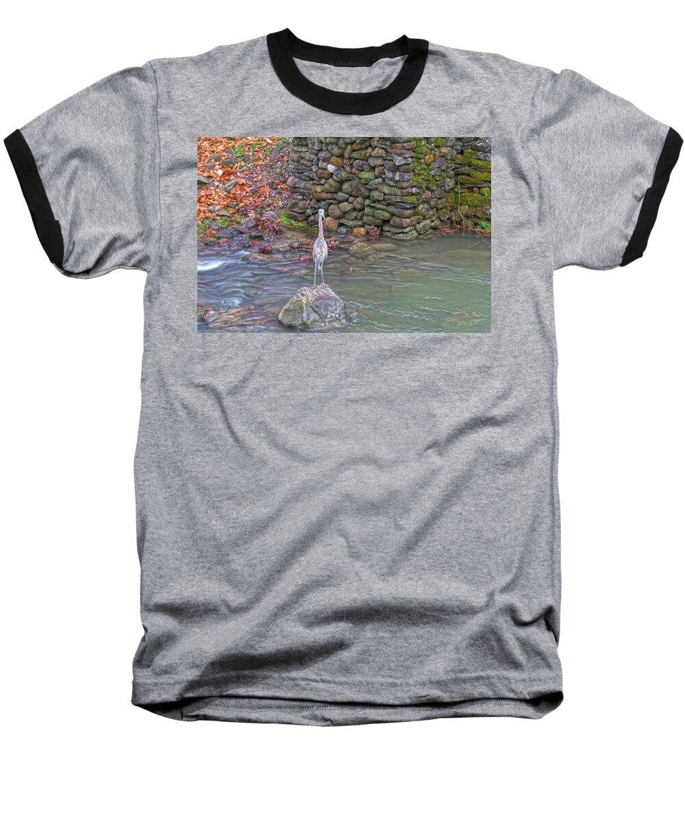 Birds Baseball T-Shirt featuring the photograph Patience by Angelo Marcialis