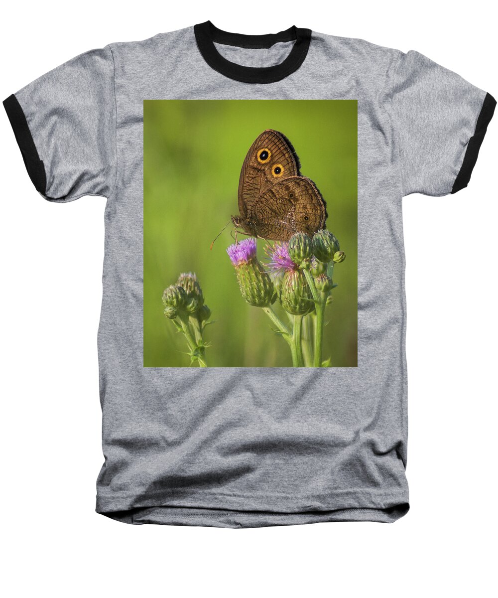 Macro Baseball T-Shirt featuring the photograph Pauper's Throne by Bill Pevlor