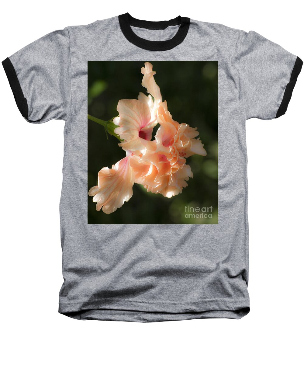 Hibiscus Baseball T-Shirt featuring the photograph Peach Bliss by Ken Frischkorn