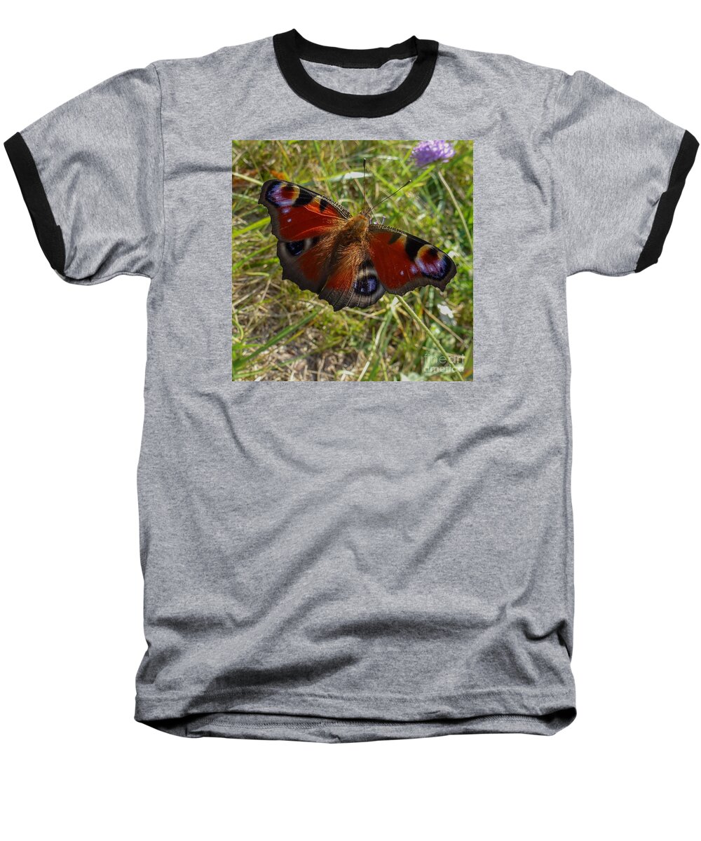 Beautiful Baseball T-Shirt featuring the photograph Peacock Butterfly by Jean Bernard Roussilhe