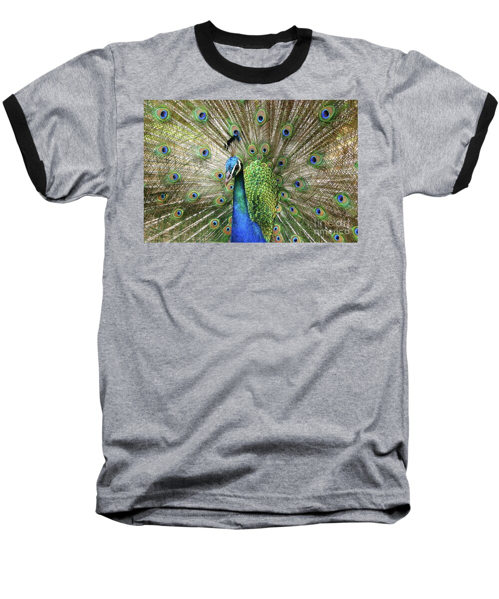 Peacock Baseball T-Shirt featuring the photograph Peacock Indian Blue by Sharon Mau