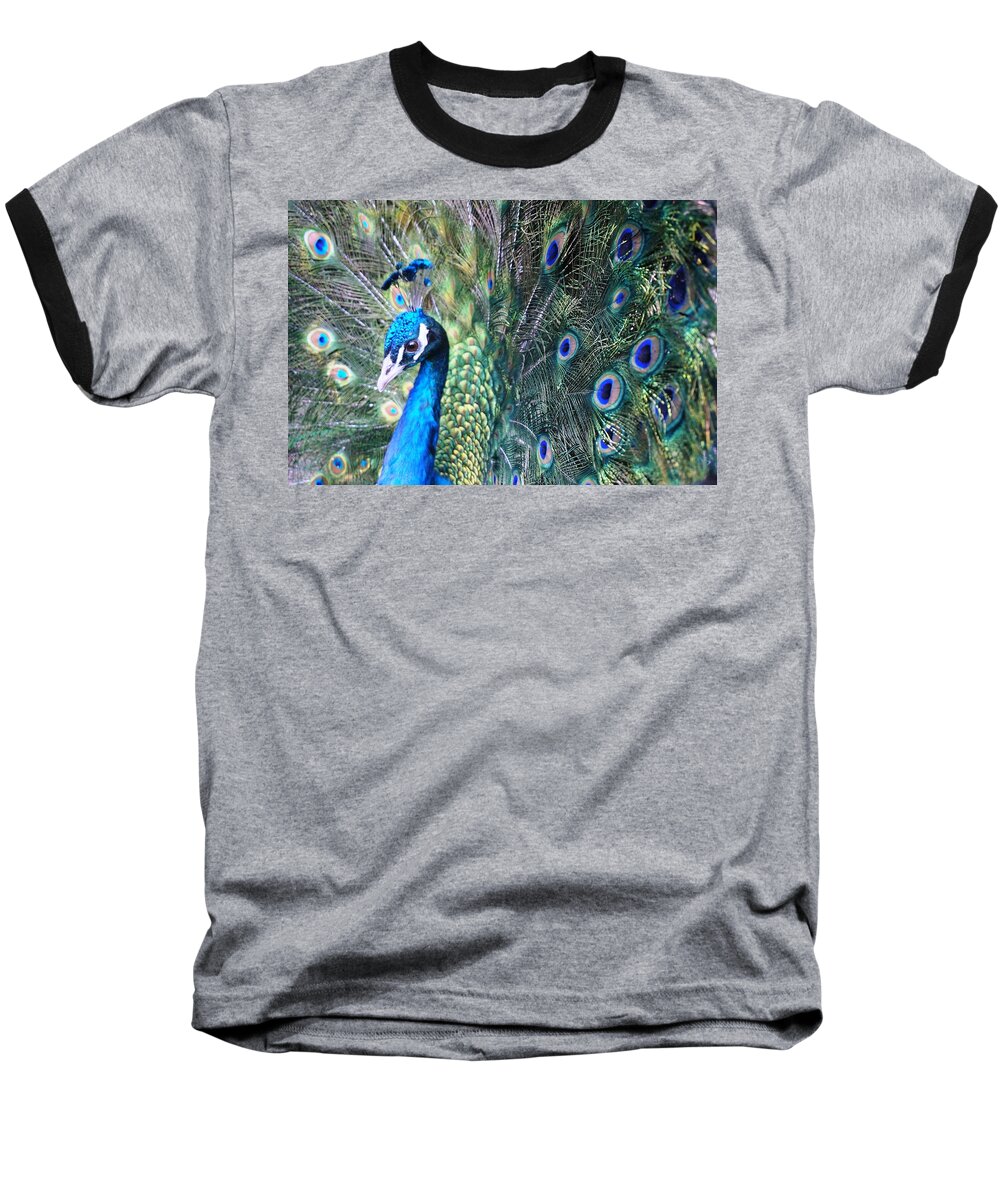 Peacock Baseball T-Shirt featuring the photograph Peacock by Julia Ivanovna Willhite
