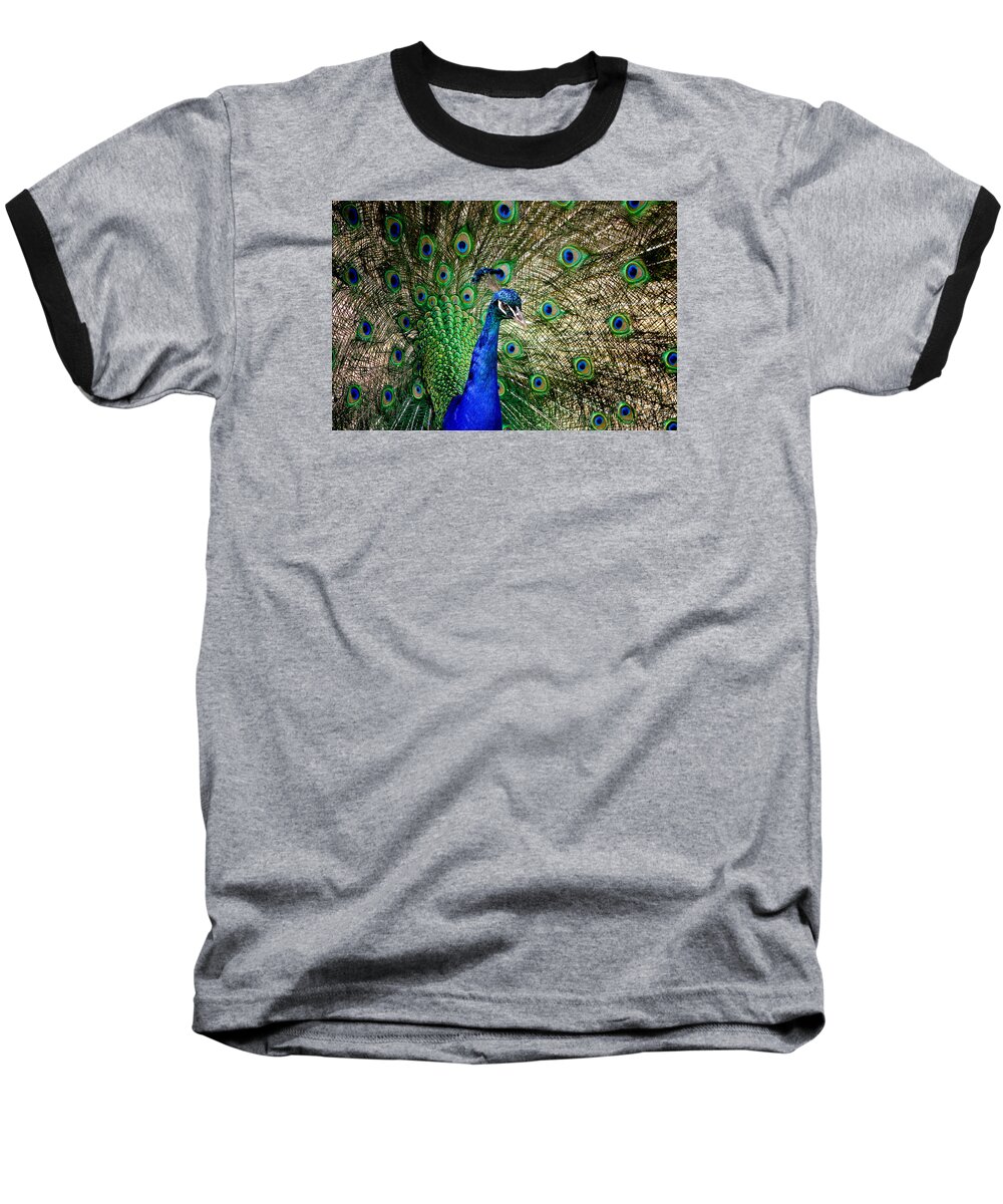 Cosley Baseball T-Shirt featuring the photograph Peacock Open Tail by Joni Eskridge