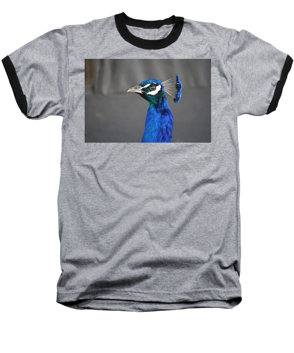 Blue Baseball T-Shirt featuring the photograph Peacock Stare Down by Bridgette Gomes