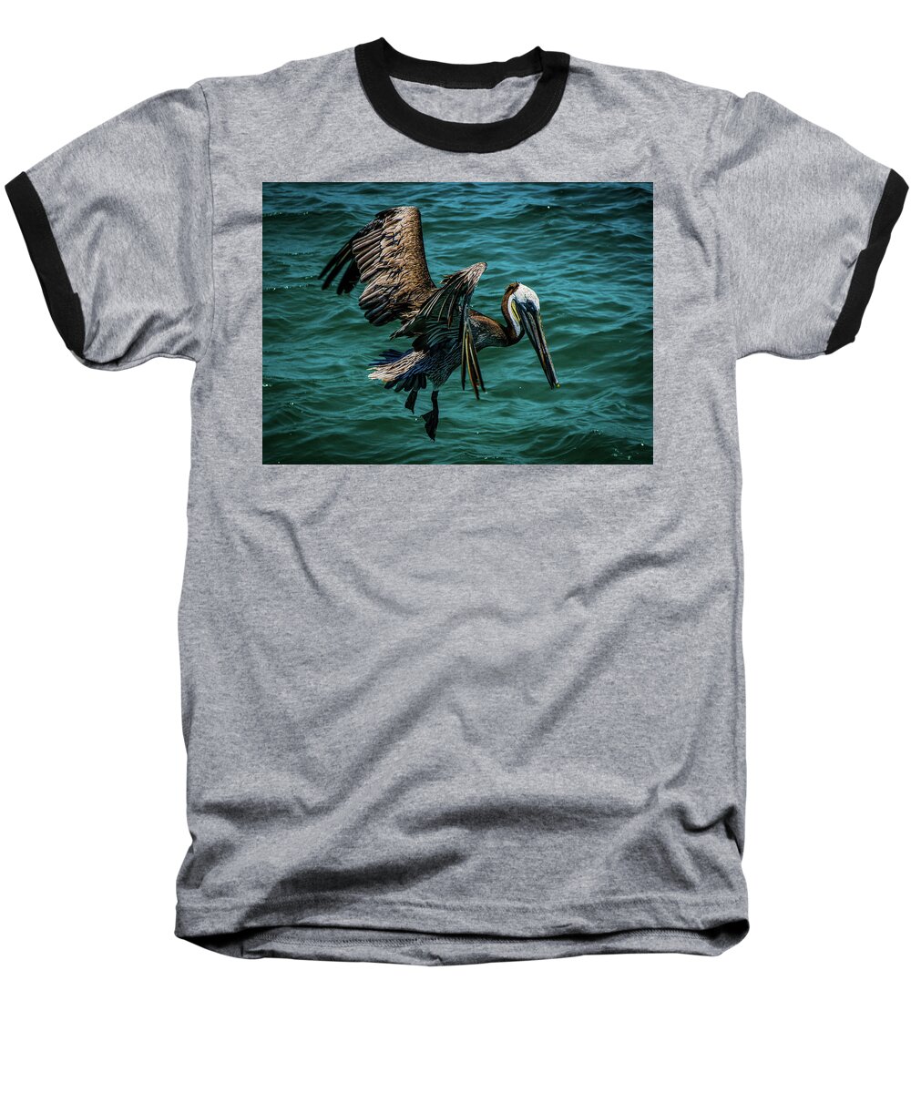 Landscape Baseball T-Shirt featuring the photograph Pelican Glide by Jason Brooks