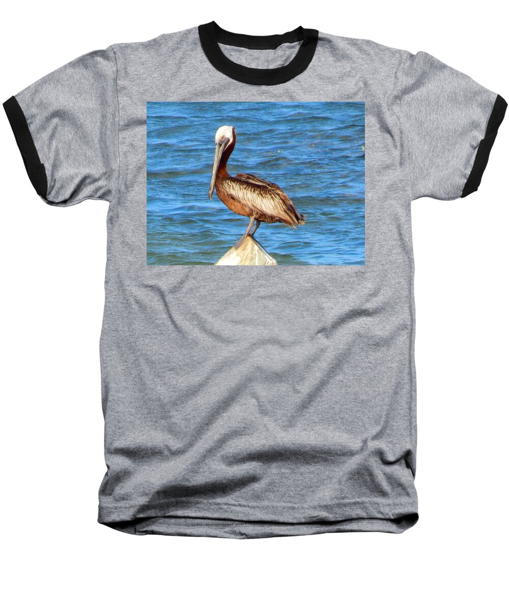 Pelican Baseball T-Shirt featuring the photograph Pelican Perched by Virginia White