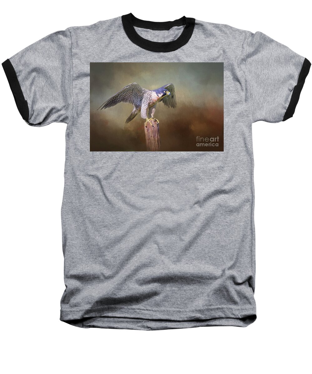 Falcon Baseball T-Shirt featuring the digital art Peregrine Falcon Taking Flight by Sharon McConnell
