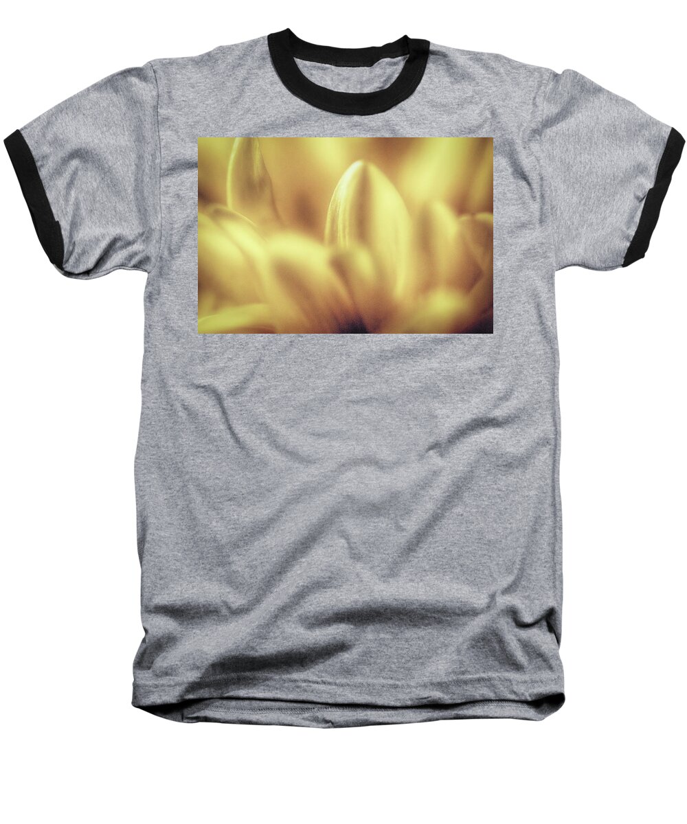 Flowers Baseball T-Shirt featuring the photograph Petals by Ches Black