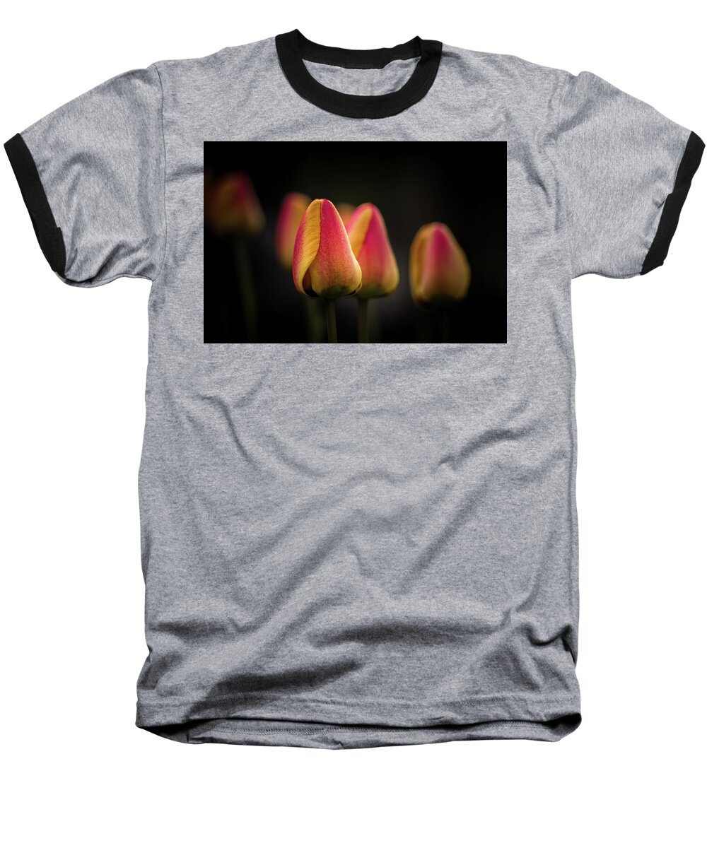 Background Baseball T-Shirt featuring the photograph Phocus Pocus by Peter Scott