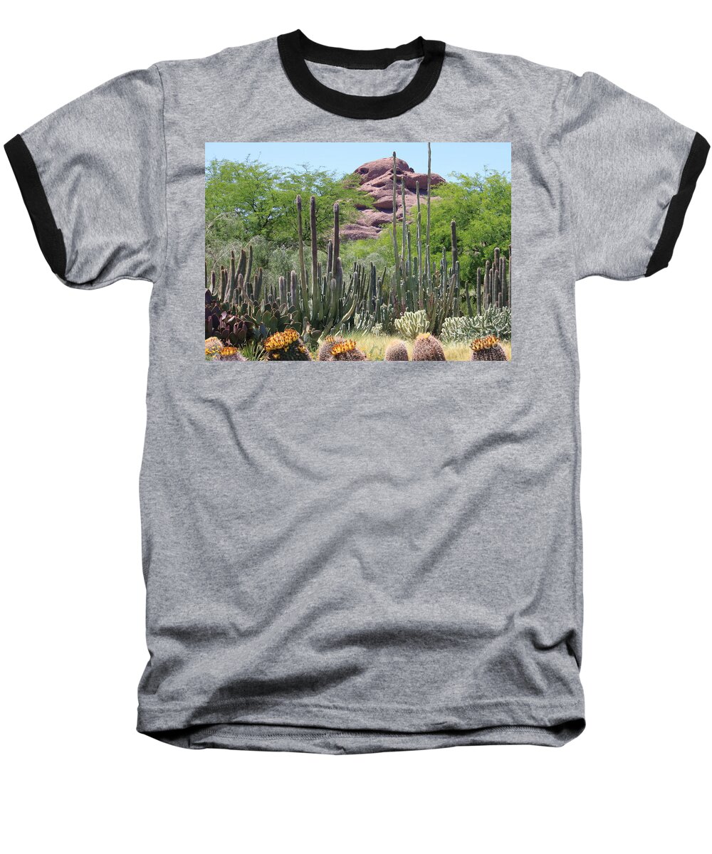 Desert Baseball T-Shirt featuring the photograph Phoenix Botanical Garden by Carol Groenen