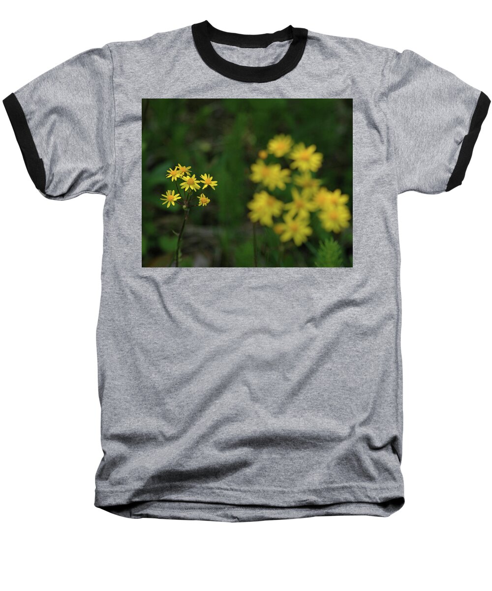 Usa Baseball T-Shirt featuring the photograph Pick me daisies by LeeAnn McLaneGoetz McLaneGoetzStudioLLCcom