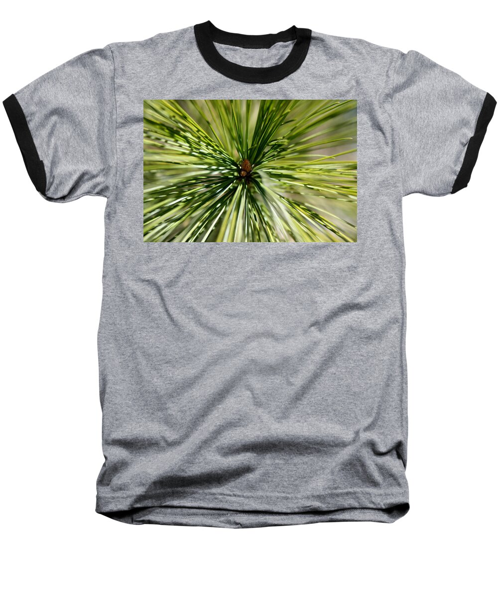 Pine Needles Baseball T-Shirt featuring the photograph Pine Needles by Laura Kinker
