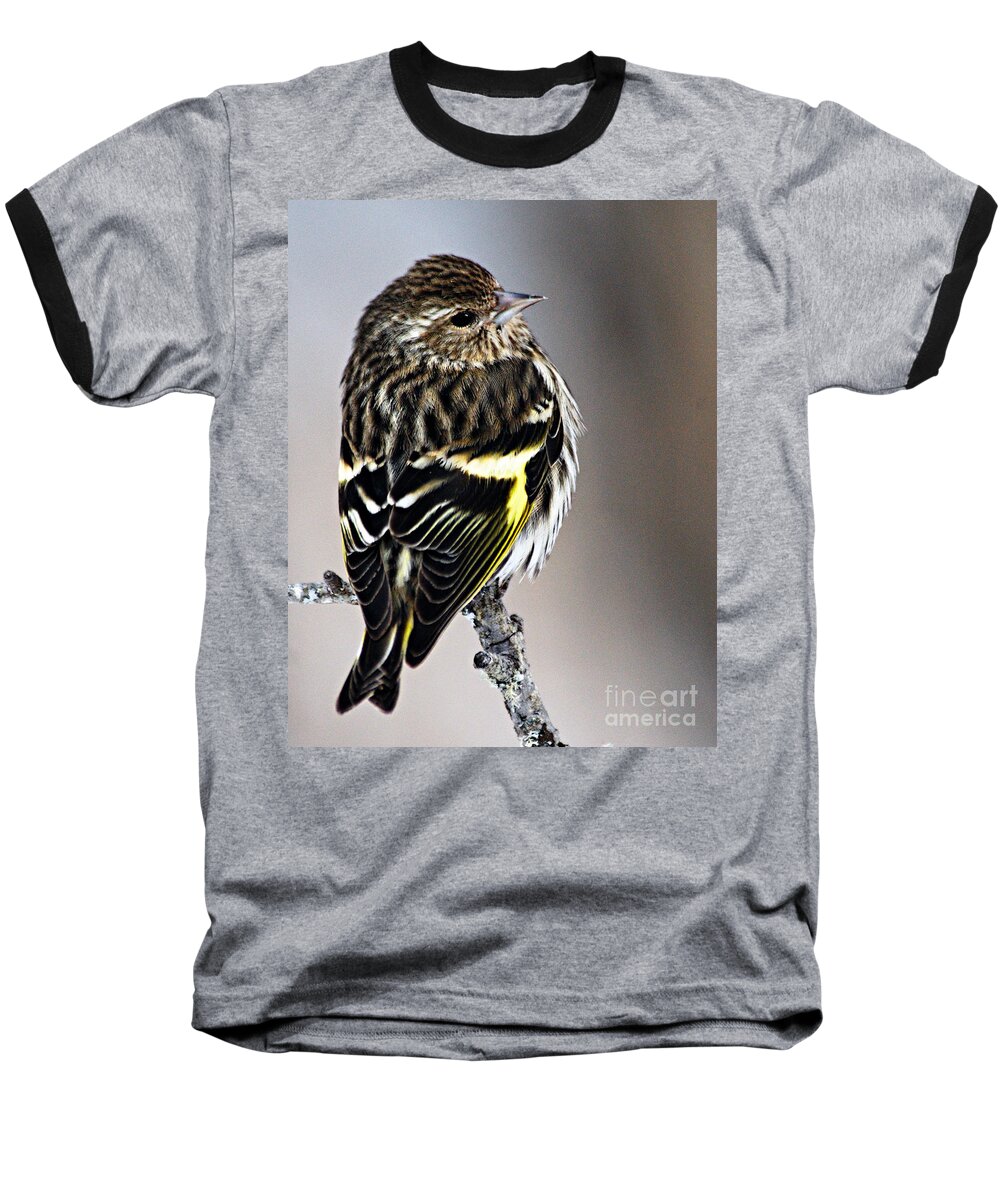 Photography Baseball T-Shirt featuring the photograph Pine Siskin by Larry Ricker