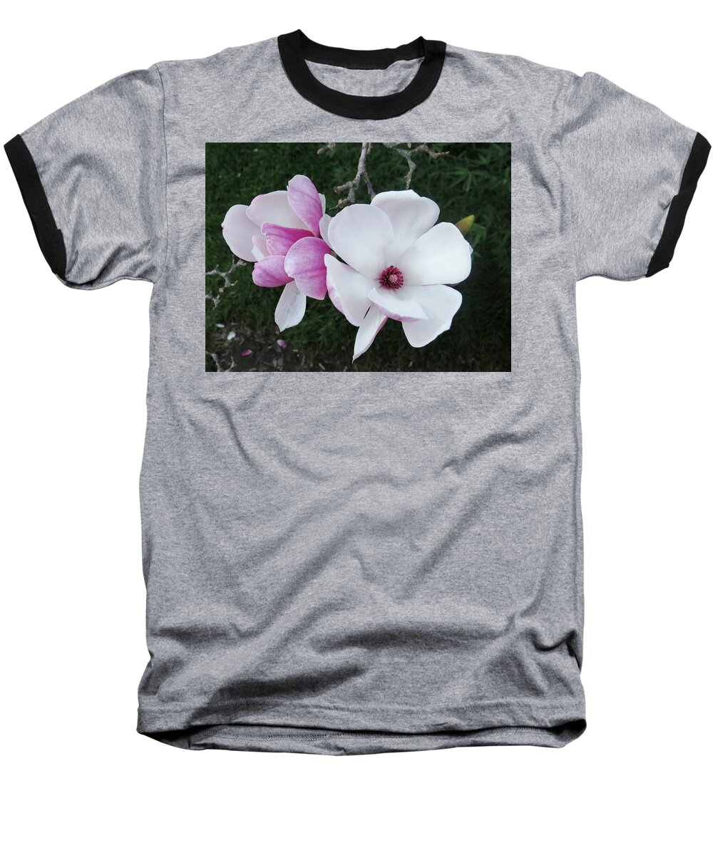Beautiful Baseball T-Shirt featuring the photograph Pink And White Delight Taken Pymble by Amanda S Leek