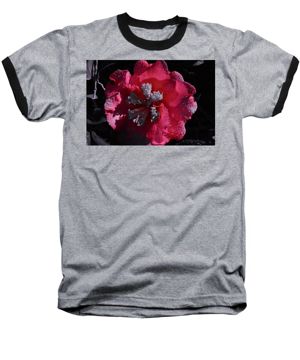 Pink Camillia And Selected Color Baseball T-Shirt featuring the photograph Pink Camillia and Selected Color by Warren Thompson