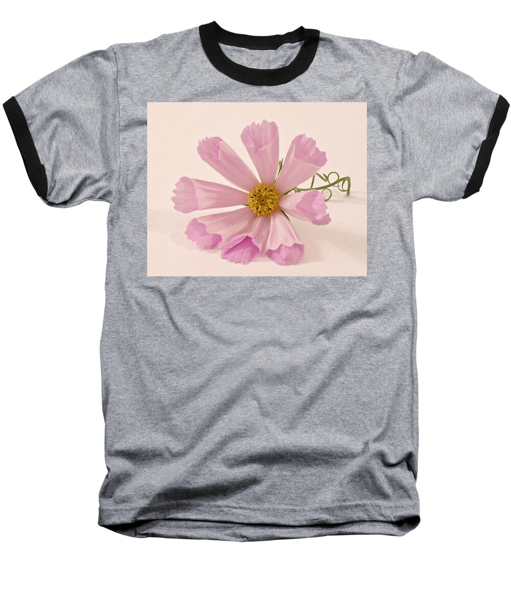Pink Flower Baseball T-Shirt featuring the photograph Pink Cosmo - Sea Shell Macro by Sandra Foster