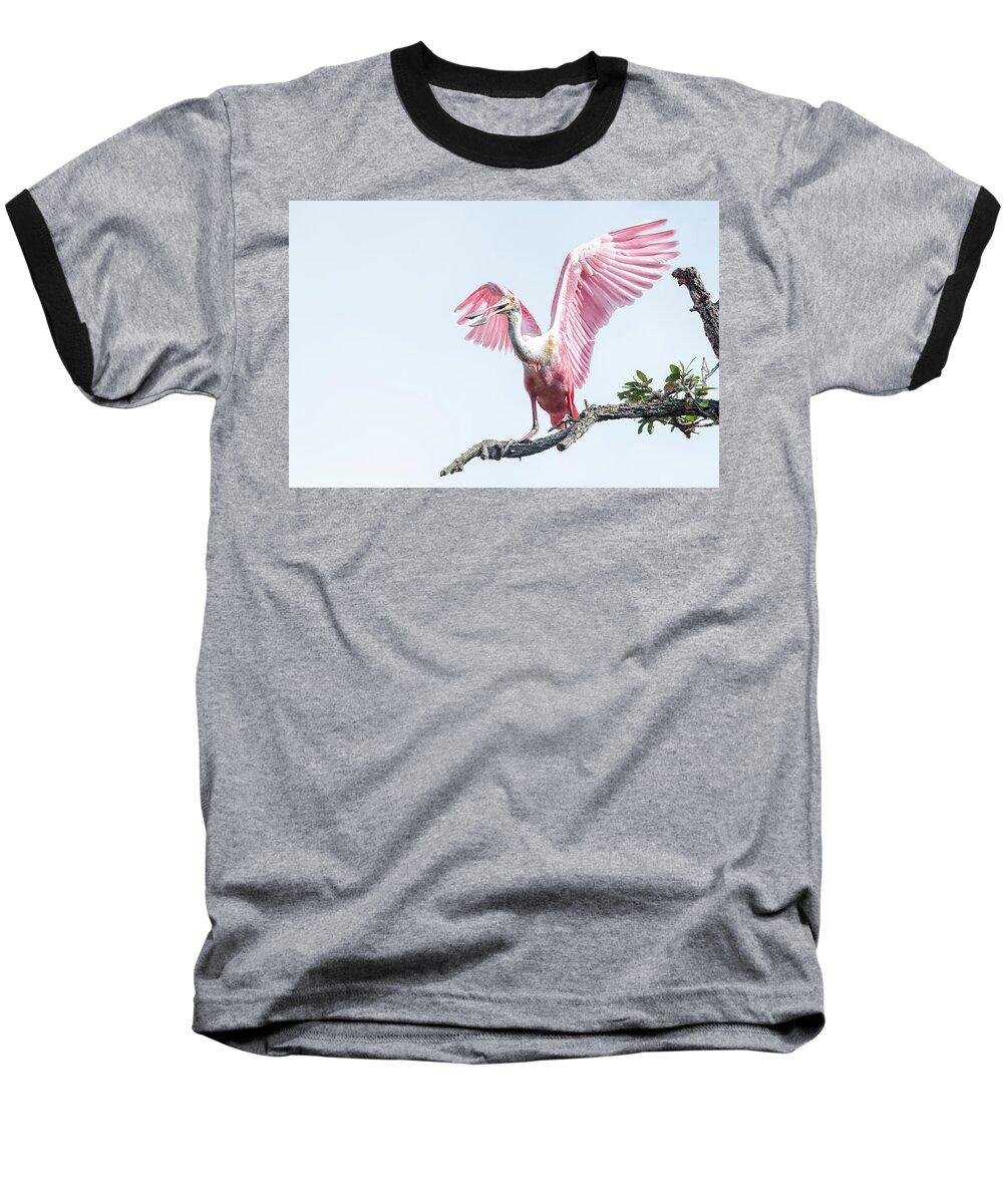 Rystal Yingling Baseball T-Shirt featuring the photograph Pink by Ghostwinds Photography