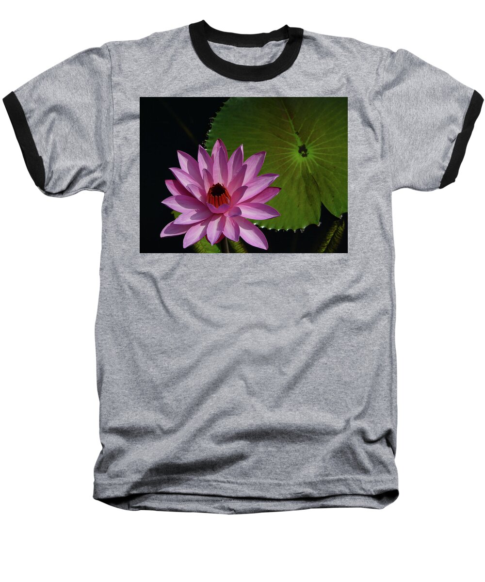 Lotus Baseball T-Shirt featuring the photograph Pink Lotus by Evelyn Tambour