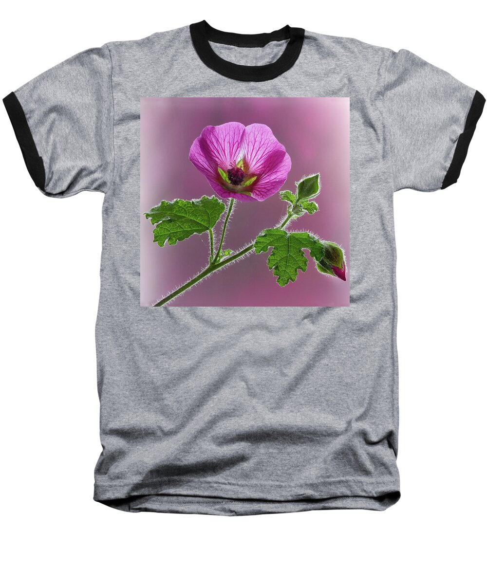 Blossom Baseball T-Shirt featuring the photograph Pink Mallow Flower by Shirley Mitchell