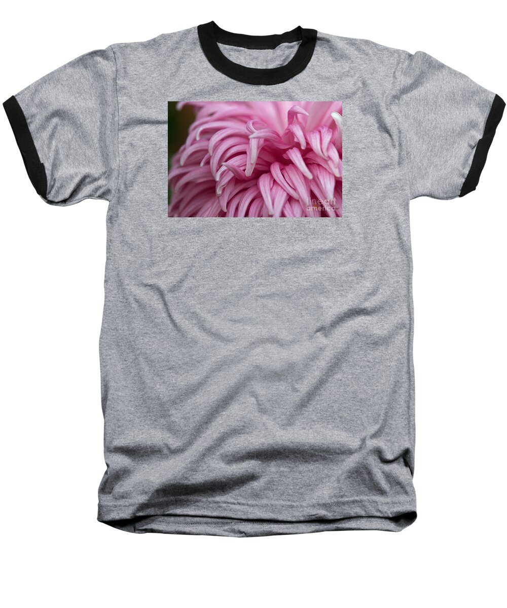 Mum Baseball T-Shirt featuring the photograph Pink Mum by Jim Gillen