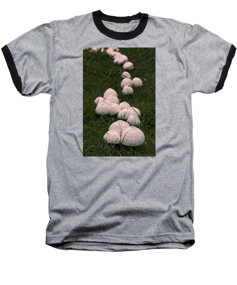 Mushrooms Baseball T-Shirt featuring the photograph Pink Mushrooms Oh My by John Harmon
