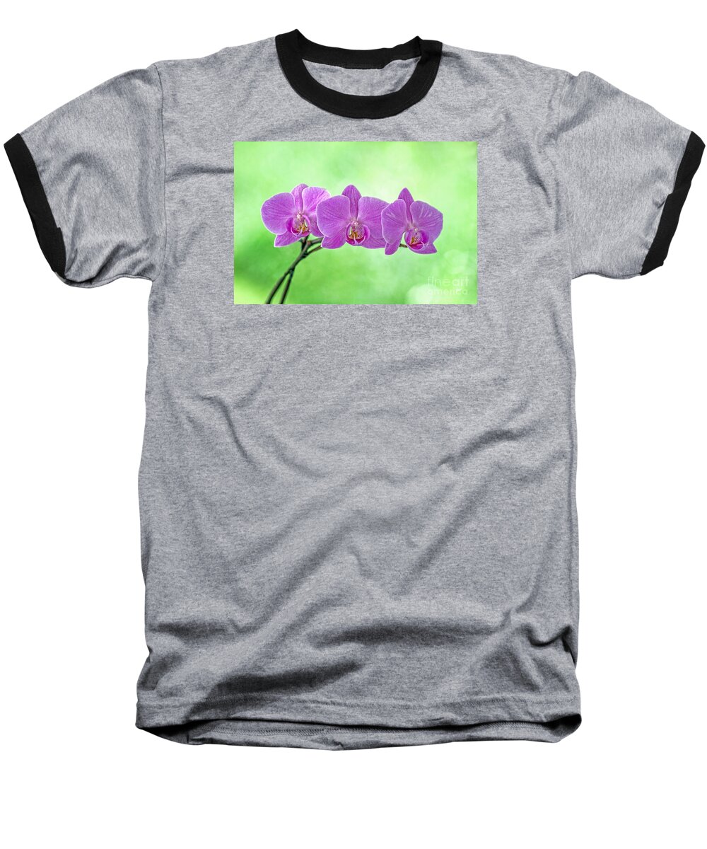 Beautiful Flower Baseball T-Shirt featuring the photograph Pink Orchids by Alana Ranney
