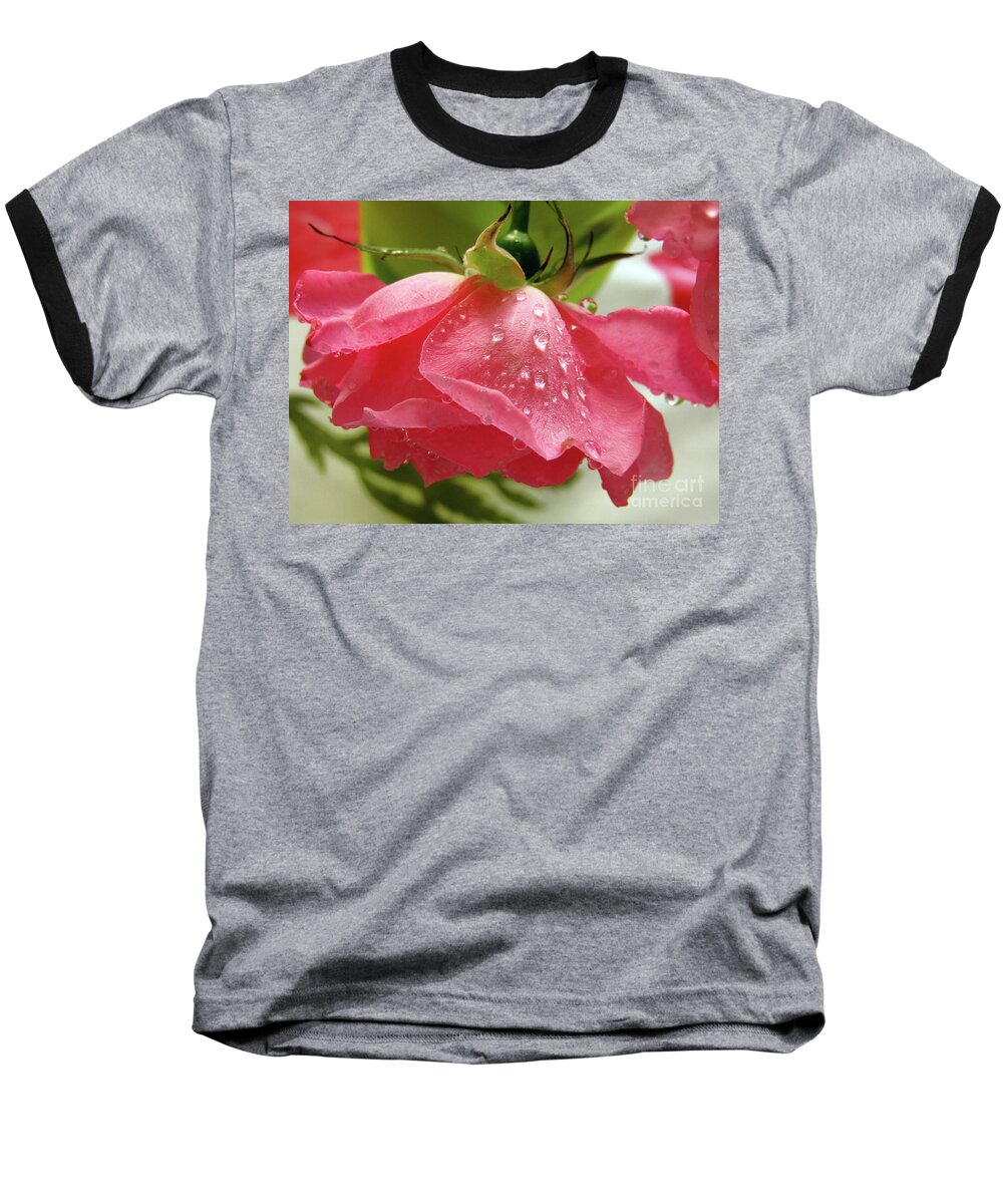 Rose Baseball T-Shirt featuring the photograph Pink Rose 3 by Kim Tran